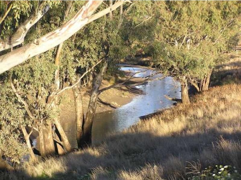 Gunnedah NSW 2380