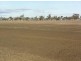 Gunnedah NSW 2380
