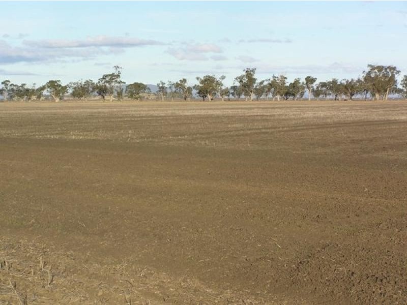 Gunnedah NSW 2380