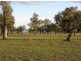 Gunnedah NSW 2380