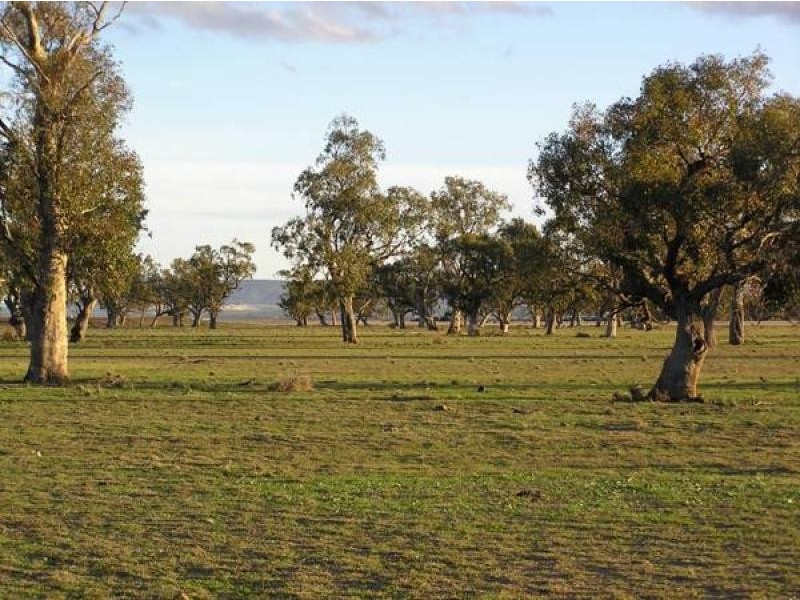 Gunnedah NSW 2380