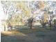 Binnaway NSW 2395