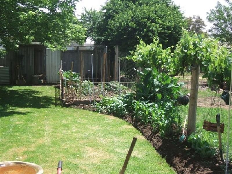 Binnaway NSW 2395