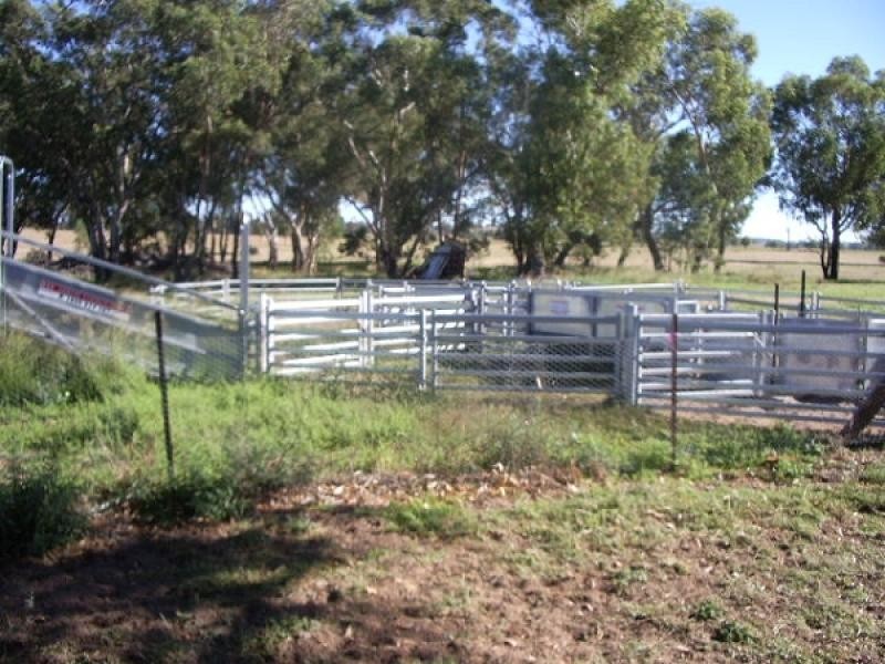 Binnaway NSW 2395