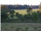 Binnaway NSW 2395