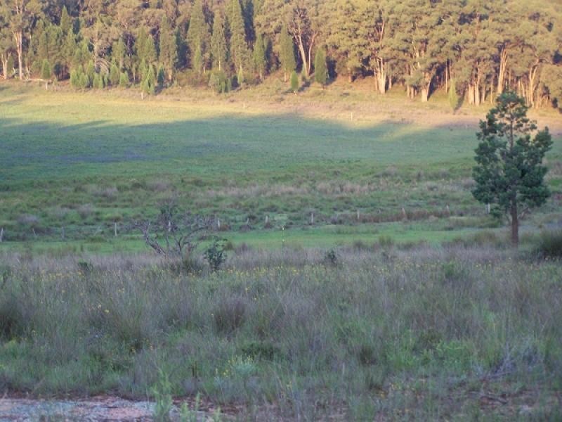 Binnaway NSW 2395