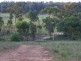 Binnaway NSW 2395