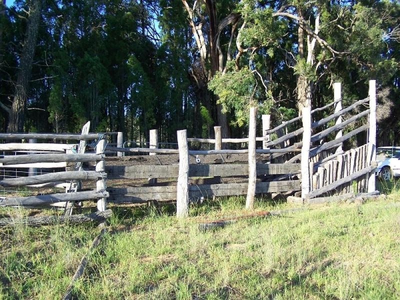 Binnaway NSW 2395