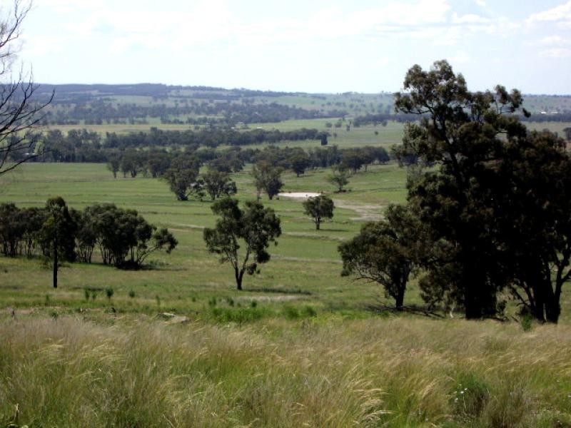 20 kms South of, Binnaway NSW 2395
