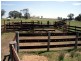 20 kms South of, Binnaway NSW 2395