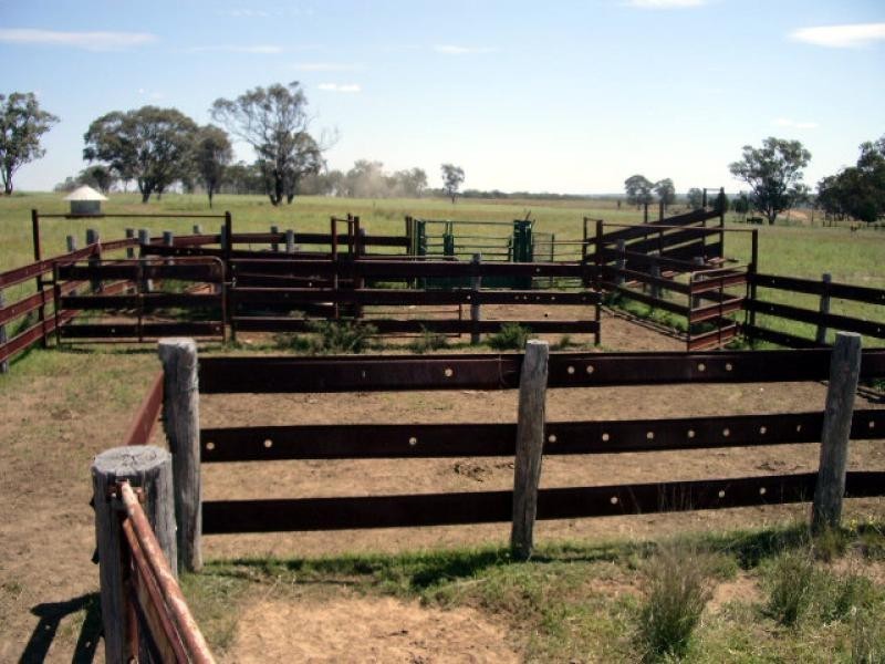20 kms South of, Binnaway NSW 2395