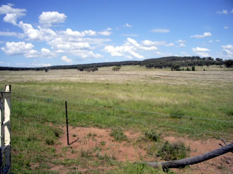 20 kms South of, Binnaway NSW 2395