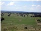 20 kms South of, Binnaway NSW 2395