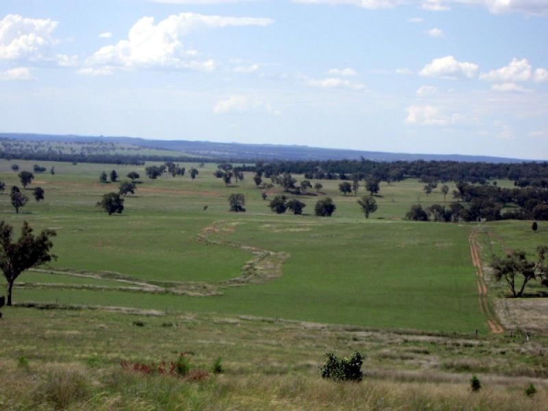 20 kms South of, Binnaway NSW 2395