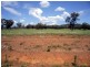 20 kms South of, Binnaway NSW 2395