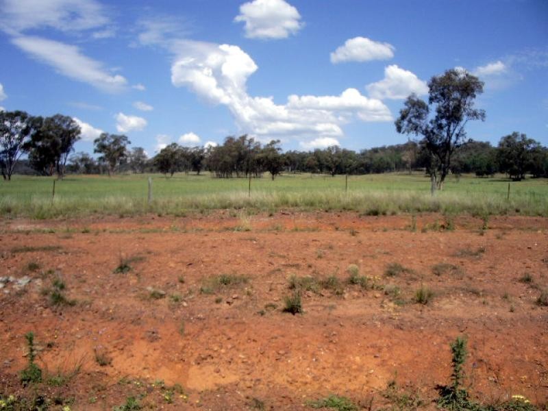 20 kms South of, Binnaway NSW 2395
