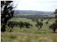 20 kms South of, Binnaway NSW 2395