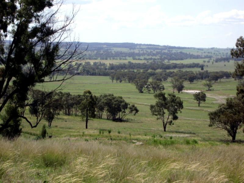 20 kms South of, Binnaway NSW 2395
