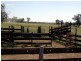 20 kms South of, Binnaway NSW 2395