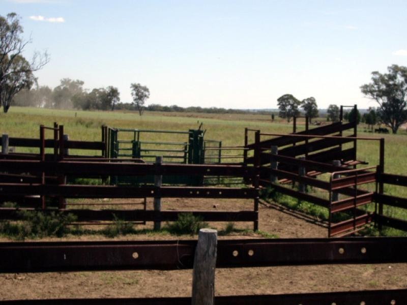 20 kms South of, Binnaway NSW 2395