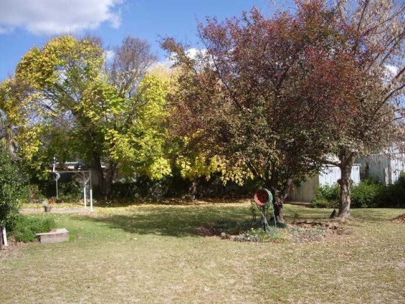 1 Quandong Street, Binnaway NSW 2395