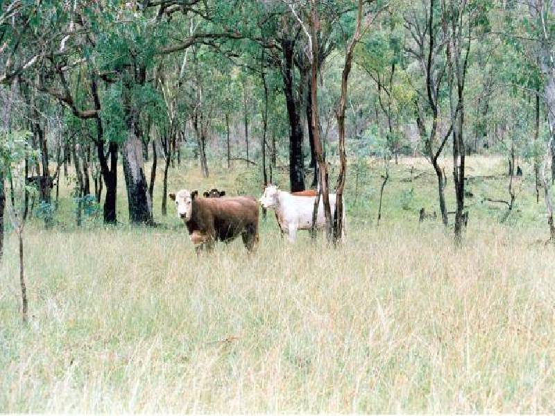 WARRABAH ROAD, Manilla NSW 2346
