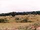 WARRABAH ROAD, Manilla NSW 2346