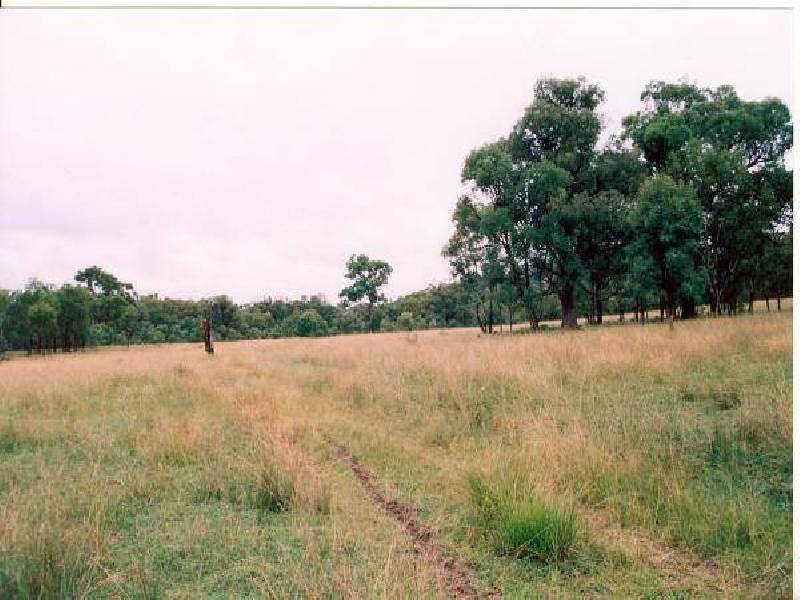 WARRABAH ROAD, Manilla NSW 2346