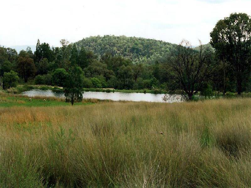 COPETON DAM ROAD, Inverell NSW 2360