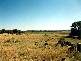 COPETON DAM ROAD, Inverell NSW 2360
