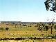 BUKKULLA, Inverell NSW 2360