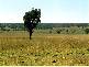 BUKKULLA, Inverell NSW 2360