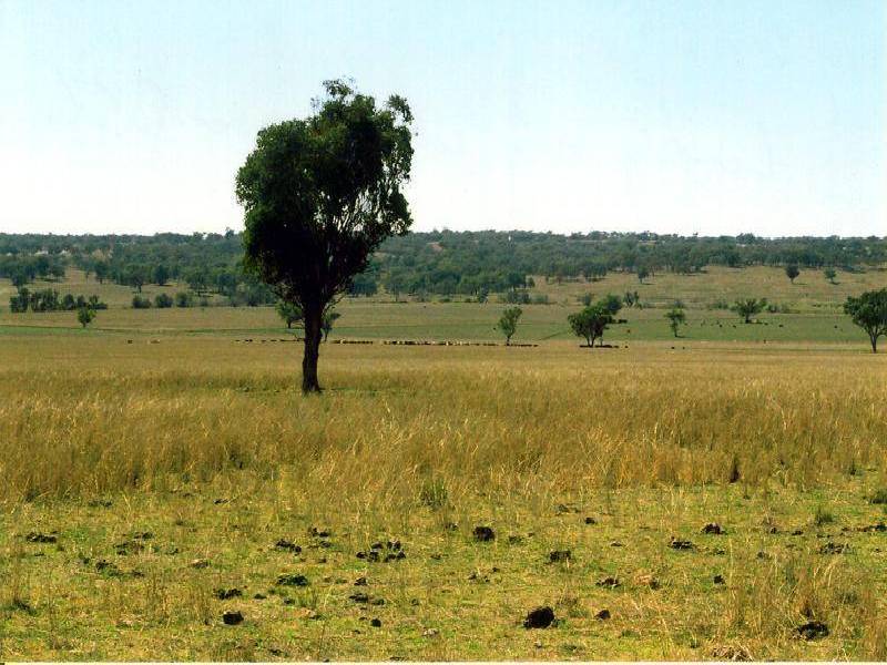 BUKKULLA, Inverell NSW 2360