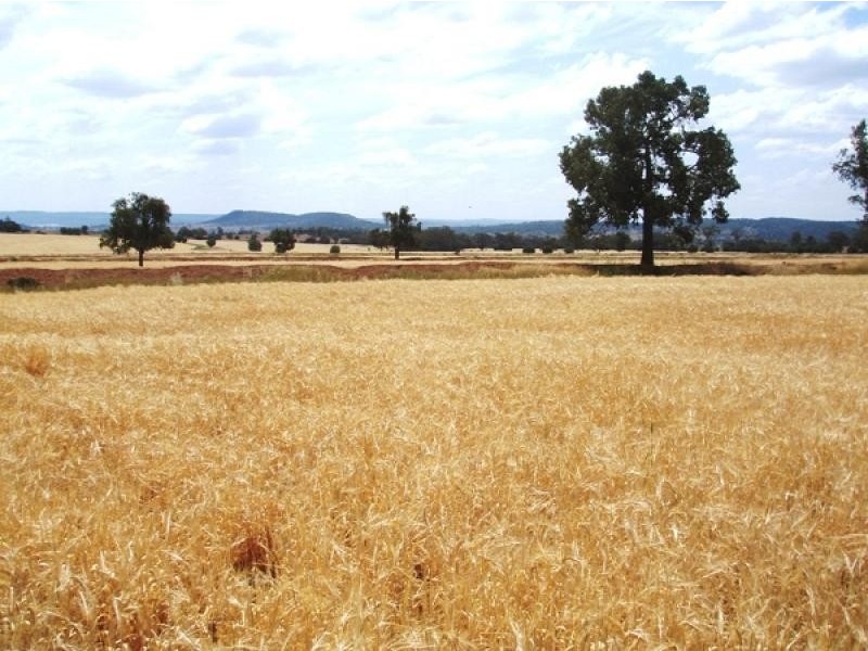 Bingara NSW 2404