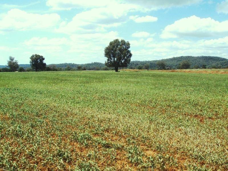 Bingara NSW 2404