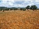 Bingara NSW 2404
