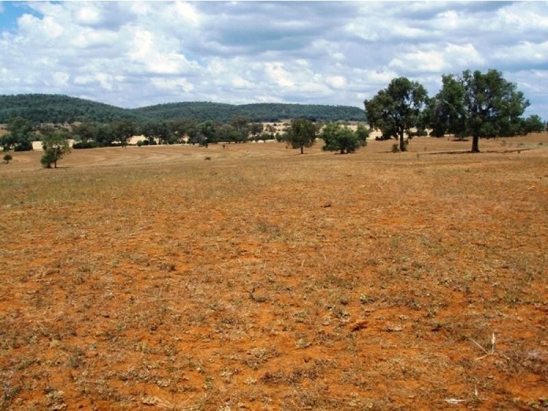 Bingara NSW 2404