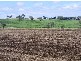 Graman NSW 2360