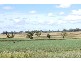 Graman NSW 2360