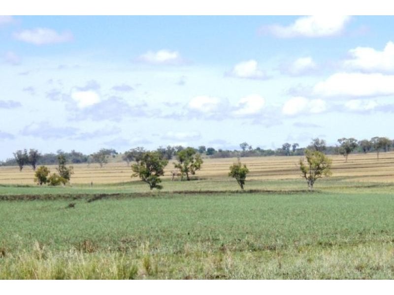 Graman NSW 2360