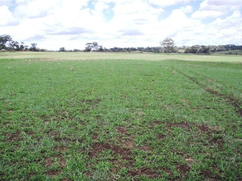 Graman NSW 2360