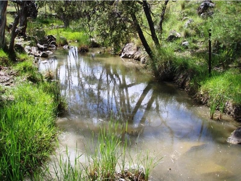 Delungra NSW 2403