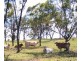 Delungra NSW 2403