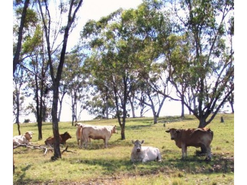 Delungra NSW 2403
