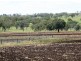 Delungra NSW 2403