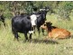 Bundarra NSW 2359