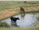 Bingara NSW 2404