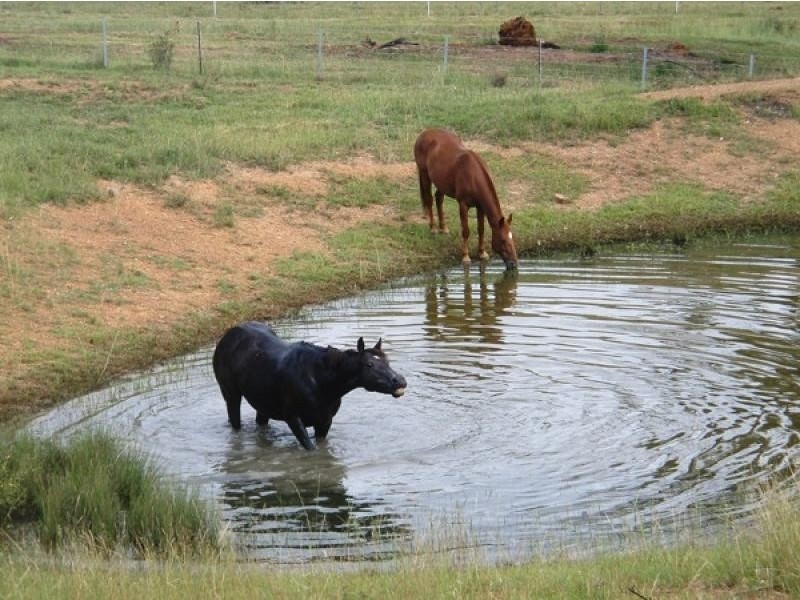 Bingara NSW 2404