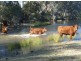 Bingara NSW 2404