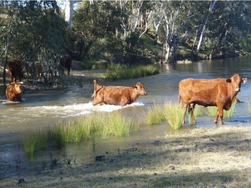 Bingara NSW 2404
